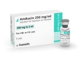 AMIKACINE 250 mg pdre pr sol. inj. bte/20