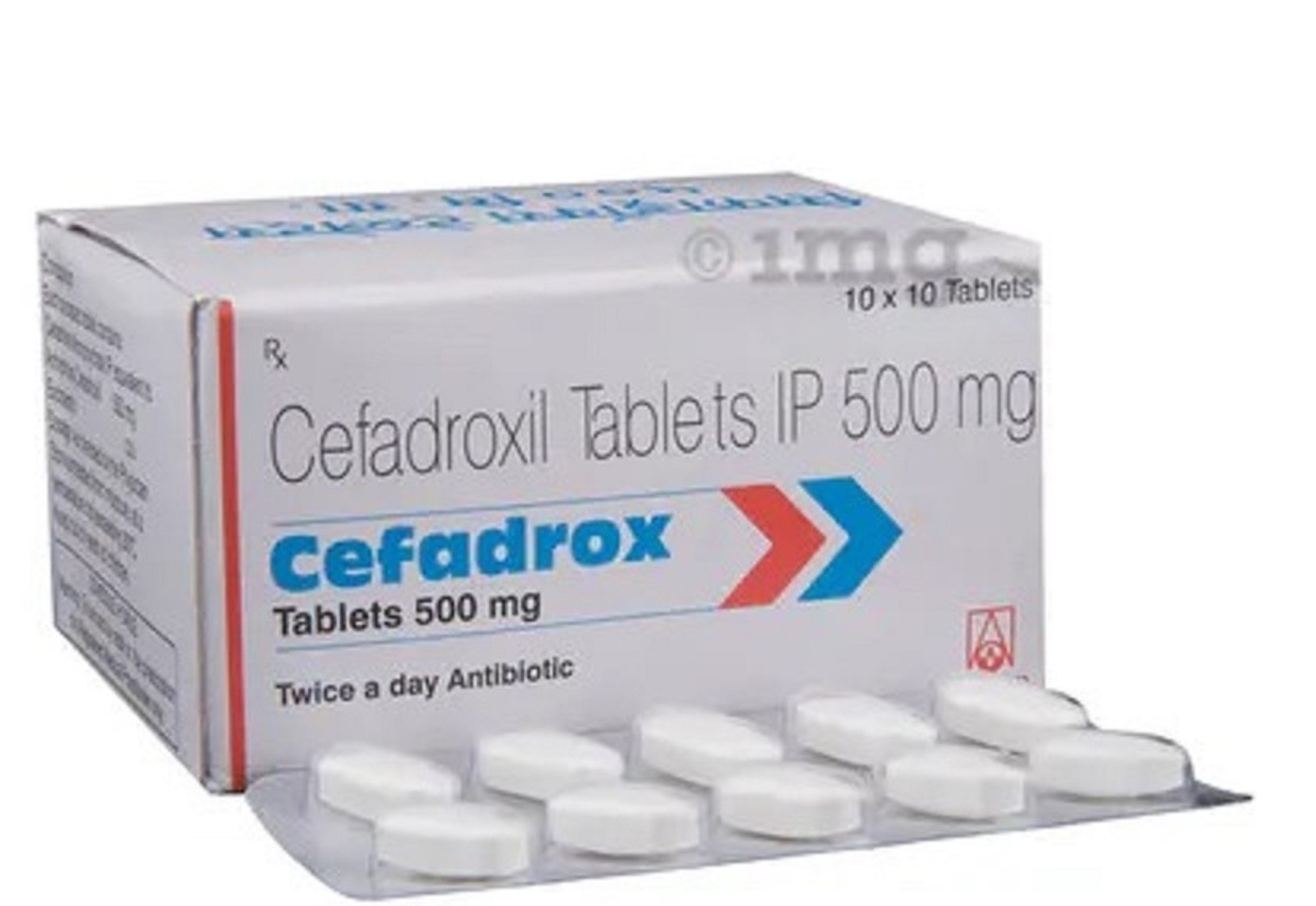 CEFADROXIL 500 mg gél.bte/100